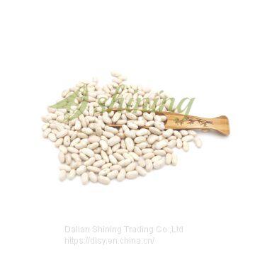 White Kidney Beans Long Shape Spanish Type