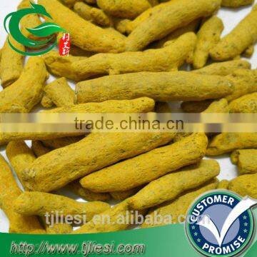 supply tumeric root for pungent spice