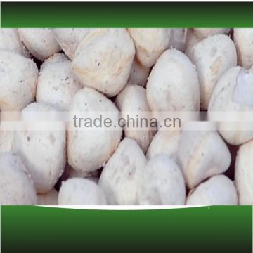 Organic Certified Moringa seeds Kernel for Export