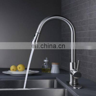 Single Handle High Arc Brushed Nickel Pull Out Kitchen Faucet photo-2
