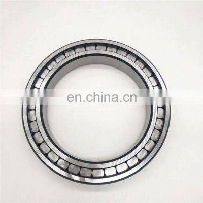 Full Complement Cylindrical Roller Bearing SL19 2315 SL192315
