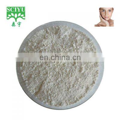 high quality aloe vera extract powder Aloe vera gel freeze-dried powder 10:1