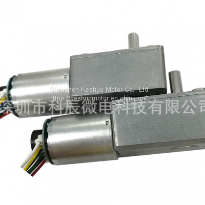 370 Worm and Gear Micro Reduction Motor With Encoder photo-2