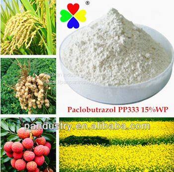 Agrochemicals Paclobutrazol 15%wp Powder Mango Control Overgrowth Cas 76738-62-0 photo-2
