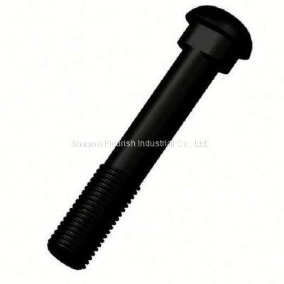 Round Head Rail Fish Bolt DIN 5903 - 1/ Elliptic Neck Track Bolts ASME B18.10 photo-2