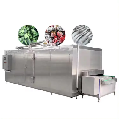 Tunnel Freezer Freezing Machine /quick Freezing Machine Small Refrigerator and Freezer/ Freezing Equipment