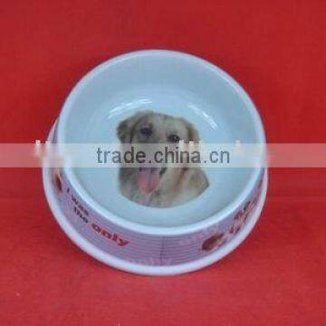 dog bowl