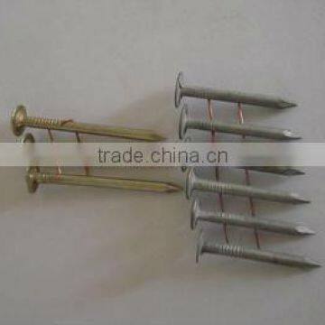 Roofing Coil Nail