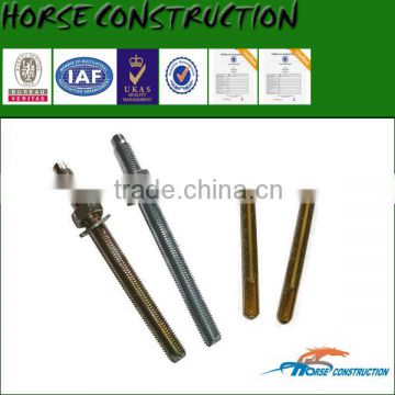 Horse Galvanized Chemical Capsule Anchor Bolt M24 for Capsule Packing