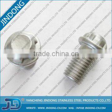 Stainless Steel Anti-theft Bolt