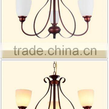 New Design Ceiling Lighting
