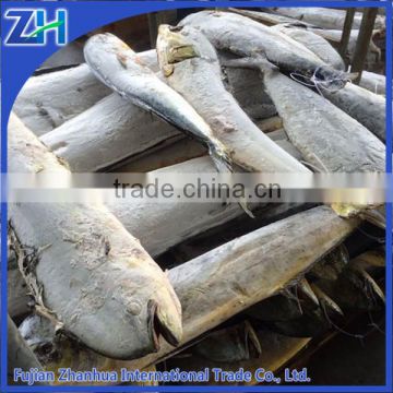 frozen mahi mahi whole round price, mahi mahi fish good quality