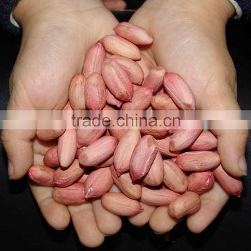 chinese peanut kernels 24/28 28/32 50/60 60/70