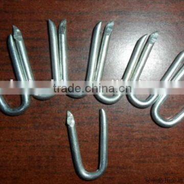 Fence staples U nails /U shaped nails/U Type Nails