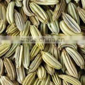 hot sale importers of fennel seeds