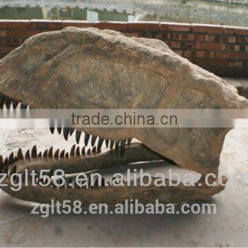 Carnotaurus Simulation Dinosaur Skull Fossil