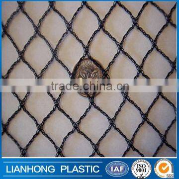 Anti Bird Net factory from China, mist bird net for protection to crops and plants from birds, agricultral bird netting