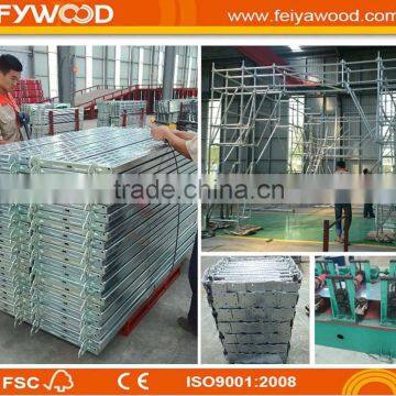 Scaffolding factory ,scaffolding double coupler load capacity