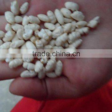 Rice Puffing Machine photo-3