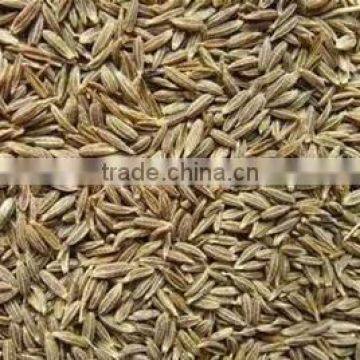 Cumin Seed photo-2