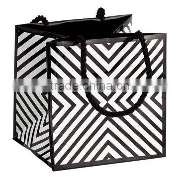 Promotion Cutom Color Printing Paper Gift Bag