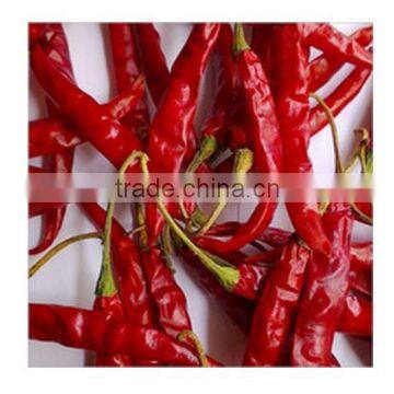 Indian Red Chilly