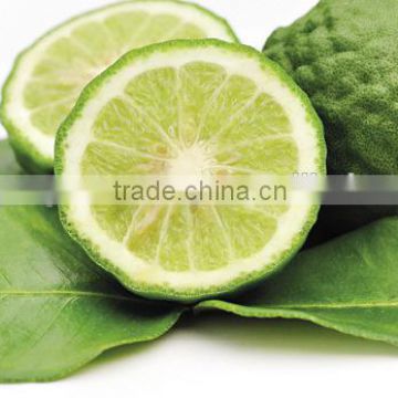 100% Pure Bergamot Essential Oil