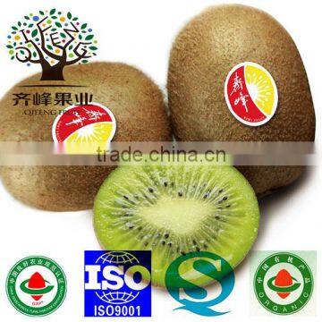 High Quality Fresh Kiwi