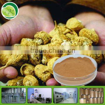 Natural pure maca extract powder