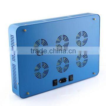 Hydroponics Led 2015 1000 Watt Led Grow Light Blue Red Led Strawberries photo-4