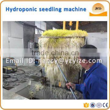 Millet grass fodder sprouting machine, automatic green animal hydroponic fodder making machine