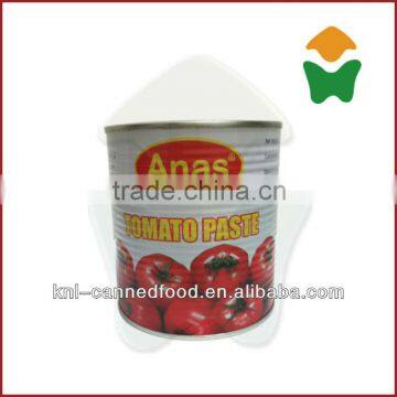 Supplying bulk tomato paste in tin 800gX12tins