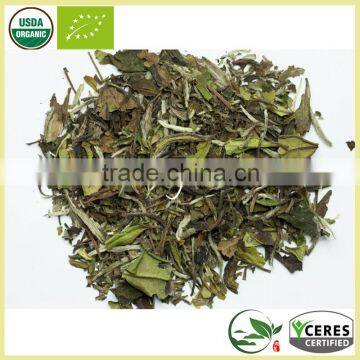 Lightly Oxidized White Hair Silver Needle White Tea Best White Tea Brands photo-2