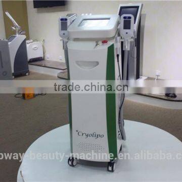 50 / 60Hz Super Popular 2 Cryo Handles Work Together Cryolipolysis Cool Tech Fat Freezing Machine Slimming Weight Loss Body Reshape photo-5
