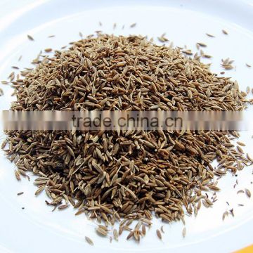 CUMIN SEED BEST QUALITY