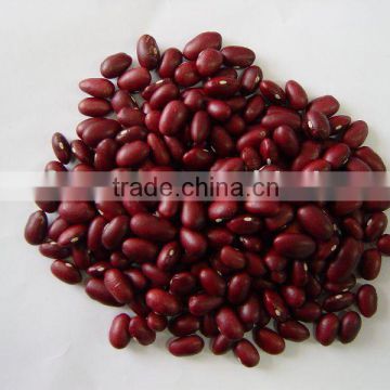 RED KIDNEY BEANS,JAPANESE type