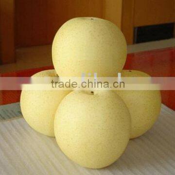 Fresh New Crop Crown Pear From China