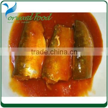 best canned sardines in tomato sauce manufactures