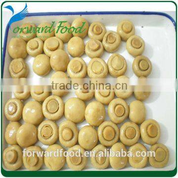 cheap whole mushroom canned in tin