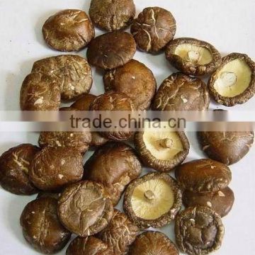 bag shiitake mushroom dried