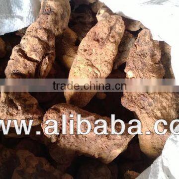 Smilax Root, Tu Fu Ling, gadung cina, akar gadong, khueang