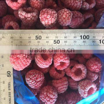 Grade A 95% whole frozen raspberry