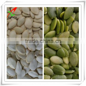 sell pumpkin seed kernels shine skin AAA