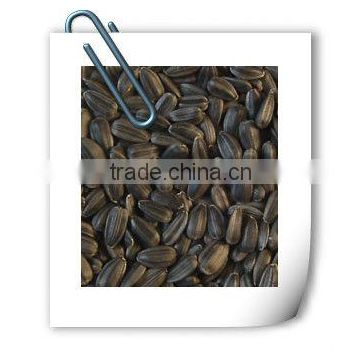 sunflower seeds and nuts price for oil extration /(oil content 40%)