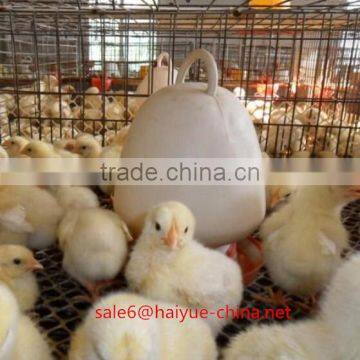 Taiyu Design Day Old Chicks Cage for Sale