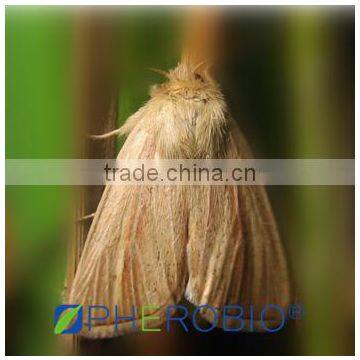 Pheromone Lure for Sesamia inferens (Pink Borer) with trap set