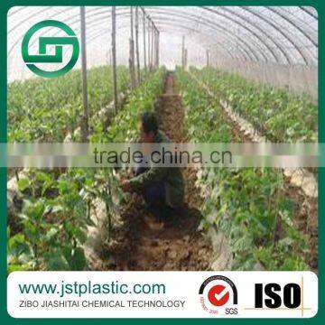 Three Layers Standard Transparent Agricultural Greenhouse Film with 80Mircon Thickness