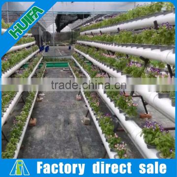 Greenhouse hydroponic grow trays growing systems