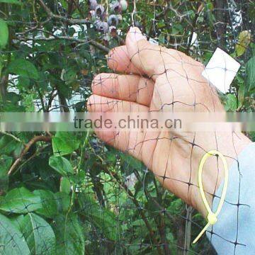 plastic bird netting