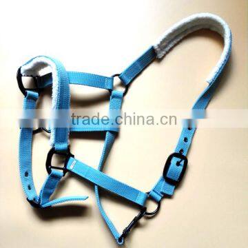 EQUESTRIAN WHOLESALE HORSE HALTER WITH BRIGHT COLOR ENGLISH TYPE HORSE HALTER EQUESTRIAN WHOLESALE HORSE HALTER TOP QUALITY